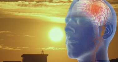 Ndryshimet klimatike po kontribuojnë në një rritje të goditjeve në tru