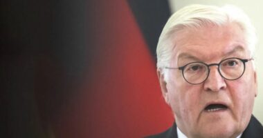 Presidenti gjerman vizitë në Turqi, do të takohet me Erdogan dhe Imamoglu