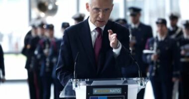 Agresioni rus, Stoltenberg: Mbështetja për Ukrainën nuk është bamirësi, por investim në sigurinë e aleancës