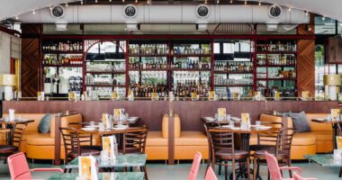 Biznesi i preferuar i shqiptarëve arrin 650 milionë euro, rritet sërish numri i kafeneve, rekord në Europë