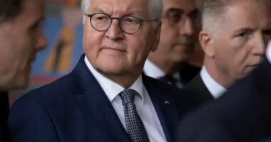 Steinmeier vlerëson kontributin e turqve në Gjermani