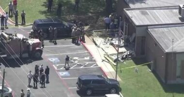 VIDEO/ Burri përplaset qëllimisht me departamentin e sigurisë në Teksas, një i vdekur dhe 13 të plagosur