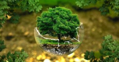 22 prilli, Dita Botërore e Tokës