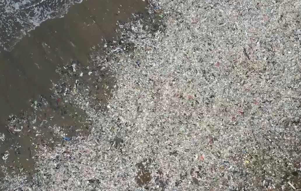 Katastrofa ekologjike/ Çdo vit në det përfundon 1 milion ton plastikë