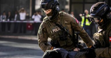 Europol: 86% e organizatave kriminale në BE pastrojnë para në prona dhe turizëm, mes tyre edhe shqiptarët