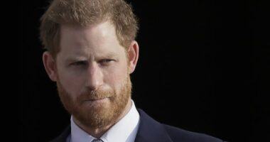 Princ Harry zgjedh SHBA si rezidencë të përhershme, heq dorë zyrtarisht nga Britania