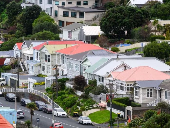 Zelanda e Re shtrëngon rregullat e vizave për ata që kërkojnë punë