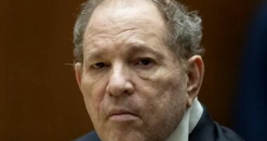 Gjykata e Apelit në Nju Jork rrëzon dënimet e producentit Harvey Weinstein për krime seksuale, kërkon rigjykim
