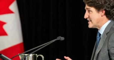 Ndërhyrja e Kinës/ Kryeministri Trudeau mbron integritetin e zgjedhjeve kanadeze