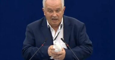 “Kemi nevojë për paqe”, eurodeputeti sllovak lëshon një pëllumb gjatë seancës në Parlamentin Europian