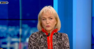 “Qytetarët të zhgënjyer nga PD”, Pernaska: E djathta është përtej ministrukturave politike. Kryetarët aktualë, fosile!