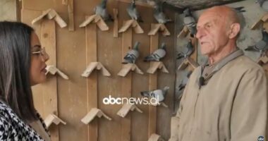 Dashuria për… pëllumbat/ I pandarë nga ta gjatë jetës, tiranasi që mban 100 pëllumba garash