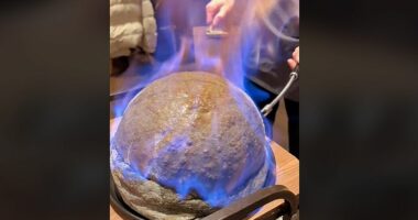 VIDEO/ Pica e pazakontë, fillimisht ndizet, më pas pritet me gërshërë