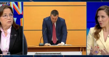 Vula e PD/ “Zhukri nuk e zhgënjeu Berishën”, juristja: Produkt i gjyqtarëve me formim 6 mujor