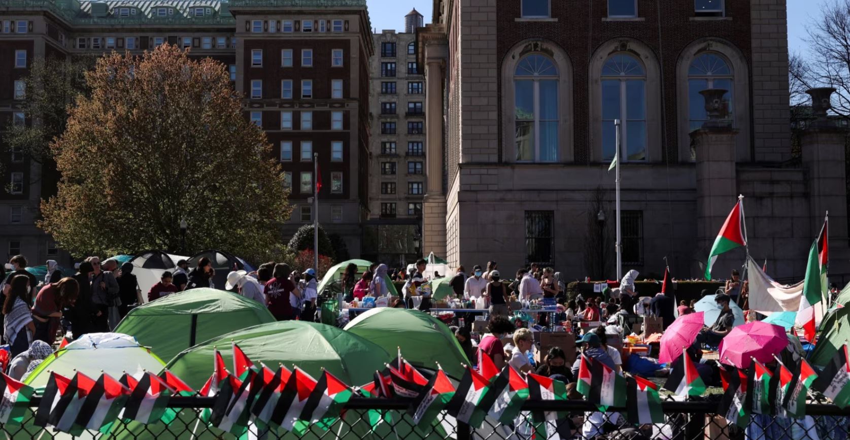 Protesta pro palestineze në universitetet amerikane, dhjetëra të arrestuar