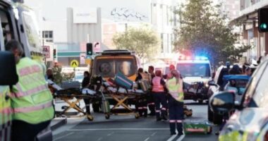 Sulmi në një qendër tregtare në Australi/ Ndërron jetë nëna që u përpoq të shpëtonte foshnjën nga agresori