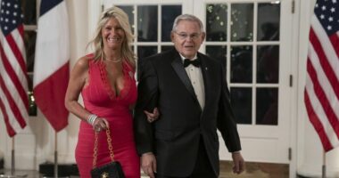 Merrnin shufra ari në këmbim të favoreve politike, senatori amerikan fajëson bashkëshorten