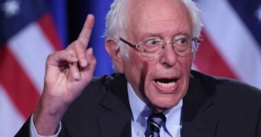 Sanders mbështet Biden: Trump duhet mundur