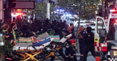 Sulmi  me thikë në Sidnej, identifikohet autori që vrau 6 persona