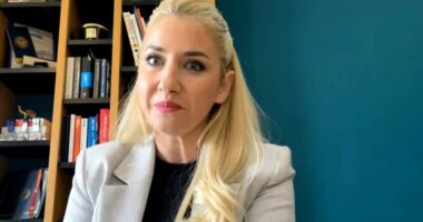 15-vjetori i Shqipërisë në NATO/ Sotiri: Vendi ynë, negociator për rajonin, progres ushtarak dhe politik