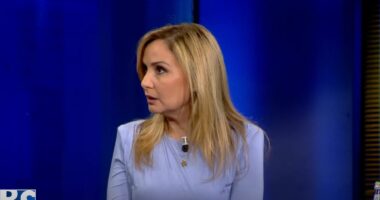 Inceneratorët/ Tabaku: Qeveria duhet të kishte marrë masa që kur u denoncuan, të ndalonte fondet për kriminelët