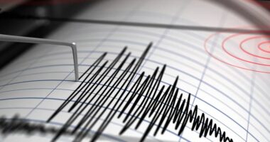 Tërmet 4.6 ballë në Turqi, ja ku ishte epiqendra