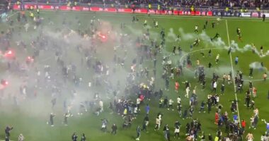 VIDEO/ Lyon në finale të Kupës së Francës pas 12 vitesh, tifozët “pushtojnë” fushën