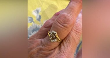 Pronarja e furrës së bukës humbi diamantin e unazës në brum, thirrje klientëve të kontrollojnë biskotat