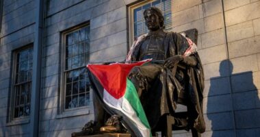 Protestat nuk ndalen/ Flamuri amerikan në universitetin e Harvardit zëvëndësohet nga ai palestinez
