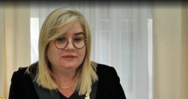 Nëna me “qera”, PD kundër: Rrezik shëndeti dhe korrupsioni