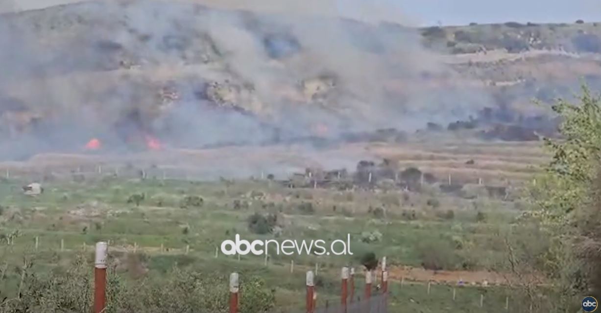 VIDEO/ Aktivizohet një vatër zjarri në Selenicë, forcat zjarrfikëse në venndgjarje