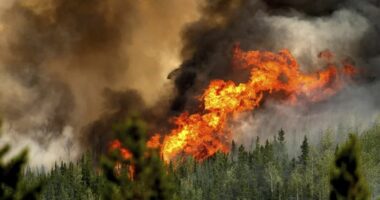 Mijëra të evakuuar si pasojë e zjarreve në Kanada