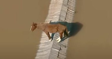 Përmbytjet në Brazil/ Kali bllokohet në majë të çatisë