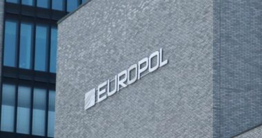 Shkatërrohet laboratori i drogës në Spanjë, prodhohej 100 kg kokainë në muaj