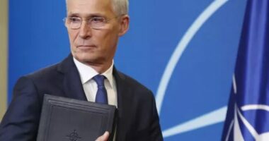 Stoltenberg: Të rishikohet kufizimi i përdorimit të armëve perëndimore brenda territorit rus