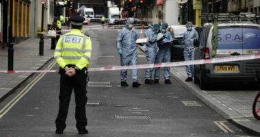 Gjendet gjysmë ton kokainë në parkingun e një lokali në Britani, kapte vlerën e 50 milionë eurove