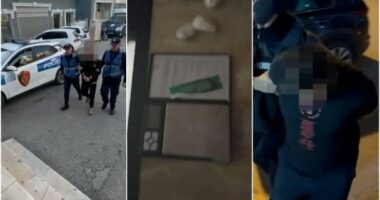Operacioni “Tempulli 3”/ Baza e grupit në Laprakë, zbardhet skema si kryhej shpërndarja e drogës, çfarë gjetën hetuesit