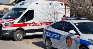 E rëndë në Tiranë, 52 vjeçari godet me mjet prerës në qafë dhe trup bashkëshorten e tij