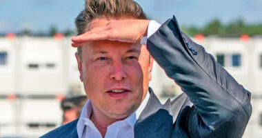 Musk gati për të pritur debatin zgjedhor të kandidatëve presidencialë në SHBA