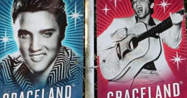 Gjykata ndalon ankandin e shtëpisë së Elvis Presley në Graceland