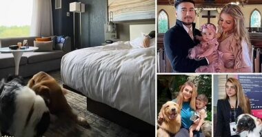 VIDEO/ Momenti kur dy qen ndihmojnë pronaren e tyre ndërsa ajo kalon një krizë epileptike