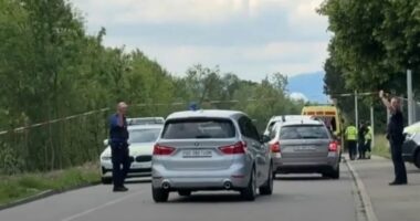 Sulm me thikë në Zvicër/ Gjashtë të plagosur, mes tyre një grua shtatzënë