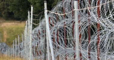 Policia kufitare polake arreston një dezertor rus