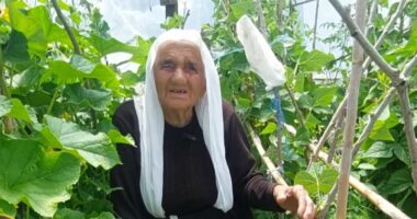 Dashuri për tokën/ Krujë, 97-vjeçarja me 70 nipër e mbesa kujdeset çdo ditë për të mbjellat