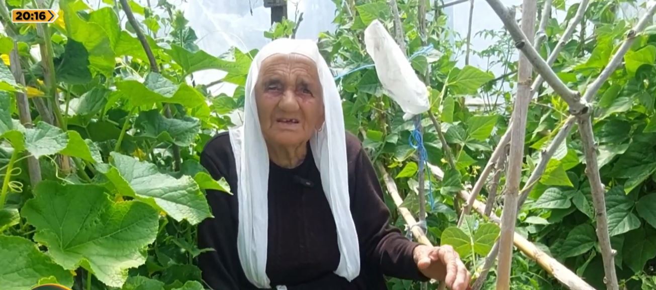 Dashuri për tokën/ Krujë, 97-vjeçarja me 70 nipër e mbesa kujdeset çdo ditë për të mbjellat