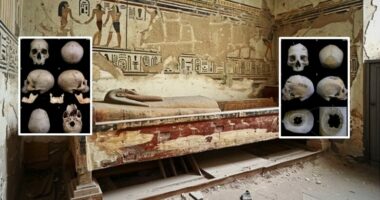 Shkencëtarët: Egjiptianët u përpoqën të shëronin kancerin 4000 vjet më parë