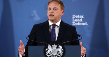 Ministri britanik i mbrojtjes konfirmon: Ne i lejuam ukrainasit të sulmonin Krimenë