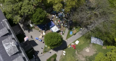 Harvard arrin marrëveshje me studentët për t’i dhënë fund demostratave pas 20 ditësh