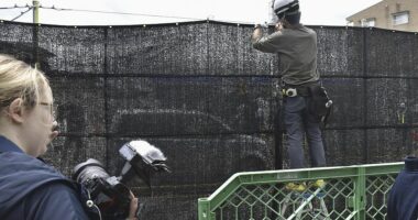 FOTO/ Banorët e një qyteti japonez ngritën një rrjet kundër turistëve që bëjnë ‘selfie’