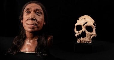 Shkencëtarët rindërtojnë fytyrën e Neandertalit që jetoi 75,000 vjet më parë